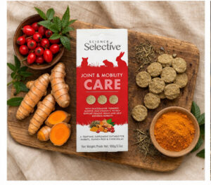  Joint & Mobility Care – wsparcie stawów i ruchu