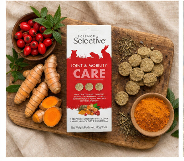 Joint & Mobility Care – wsparcie stawów i ruchu