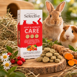 Joint & Mobility Care – wsparcie stawów i ruchu