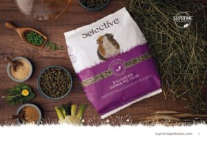 karma dla świnki morskiej science selective 1,5 kg witamina c